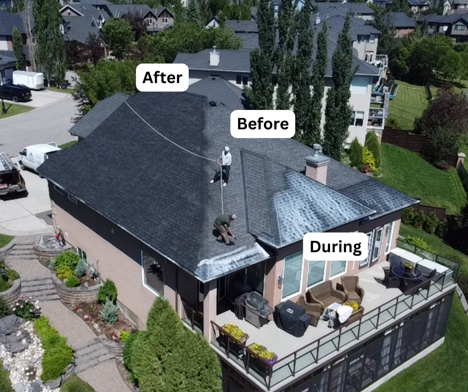 Before, during, and after rejuvenation on a North Bay home — example 1