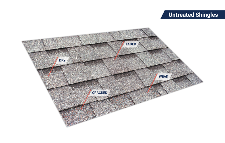 Untreated weathered shingles showing cracking, fading, and dryness